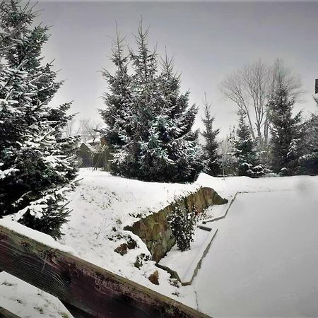 Cottage Ozerniy 拉泽希纳 外观 照片