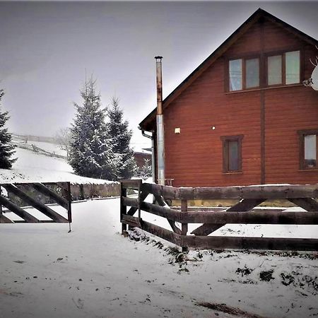 Cottage Ozerniy 拉泽希纳 外观 照片